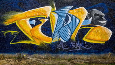 Graffiti Wall in Wittenberge - Photo by Funkanimal - funk, lac (2014)