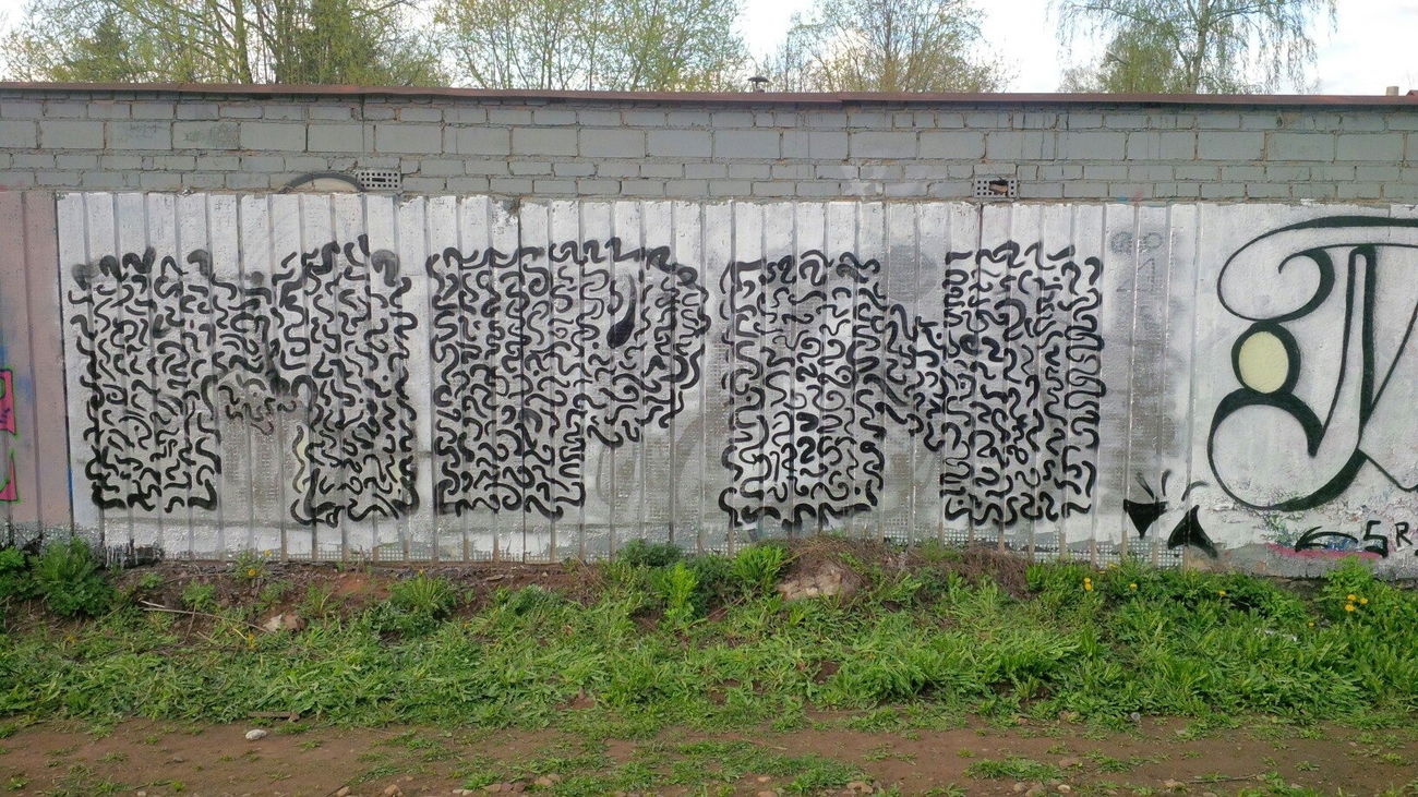 Graffiti Wall in Королёв - Photo by FunnyCatSmile (2015)