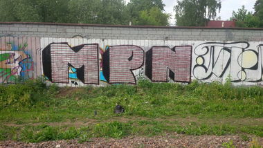 Graffiti Wall in Королёв - Photo by FunnyCatSmile (2015)