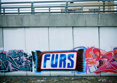 Photo #60484 by NUSONE