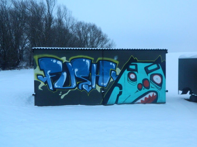 Graffiti Bombing in Sabinov - Photo by Fushie_DaFush - opuch, fusher (2013)