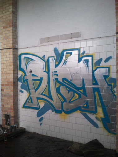 Graffiti Bombing - Photo by Fushie_DaFush - Fusher, snk (2013)