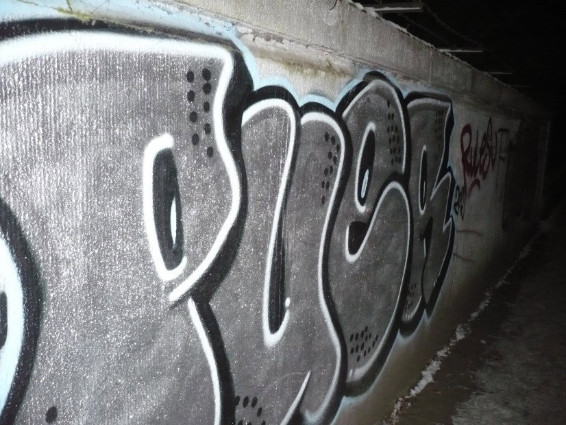Graffiti Bombing in Hamburg - Photo by Fusseloner - puer, hh