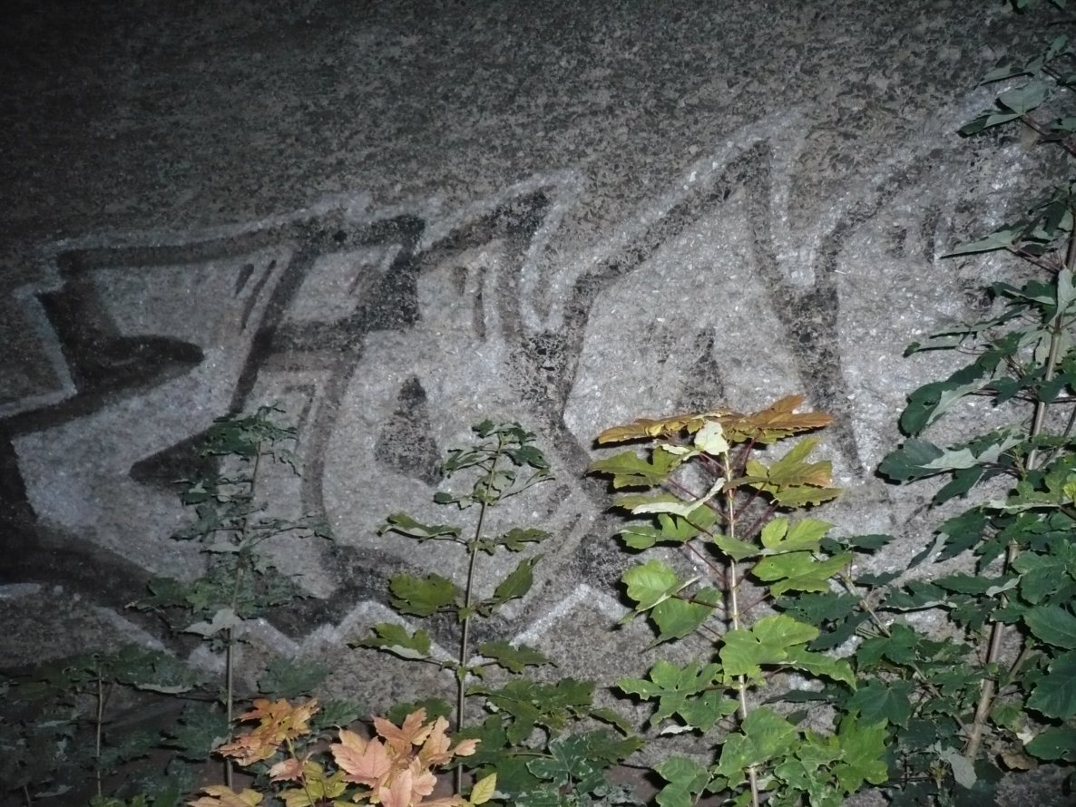 Graffiti Wall in Kassel - Photo by Fusseloner - zion, gcs, kassel