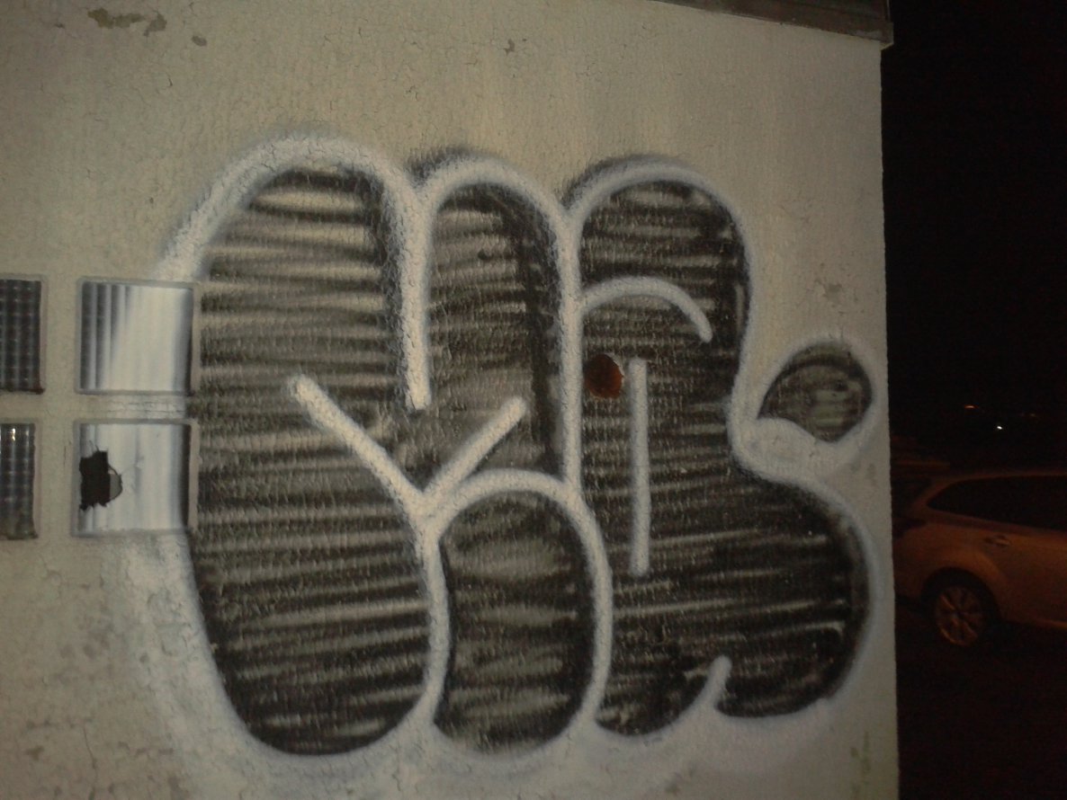 Graffiti Bombing in Kassel - Photo by Fusseloner - mare, zoom