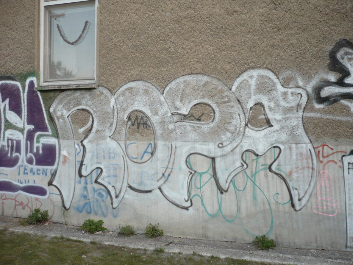Graffiti Bombing in Berlin - Photo by Fusseloner - roza, tls