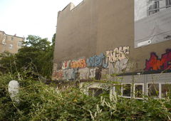 Photo #117297 by tostkopf