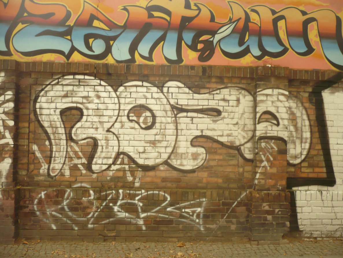 Graffiti Bombing in Berlin - Photo by Fusseloner - roza, rozer, tls