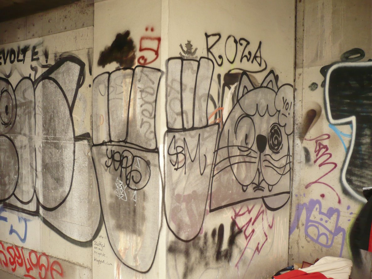 Graffiti Bombing in Berlin - Photo by Fusseloner - lush