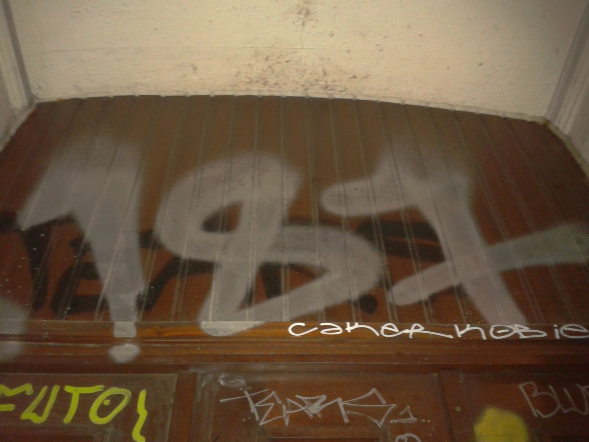 Graffiti Bombing in Hamburg - Photo by Fusseloner - 187