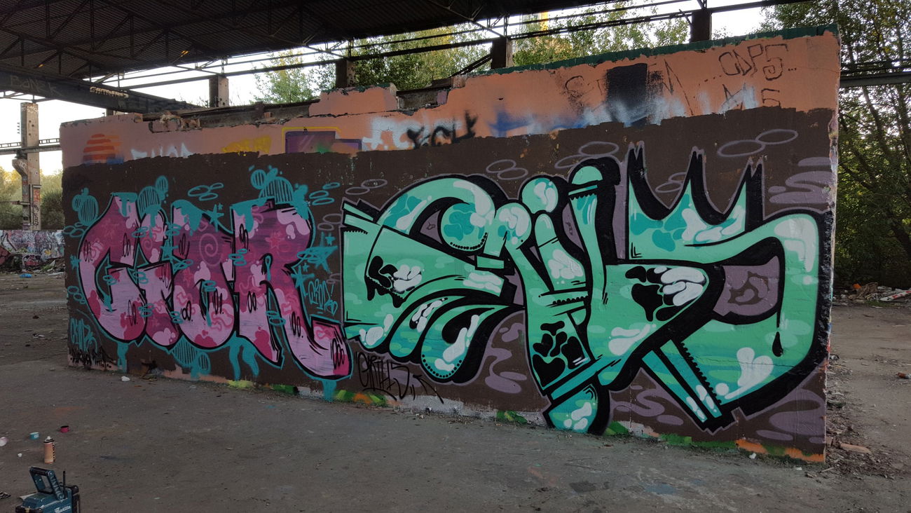 Graffiti Wall - Photo by Future (2016)