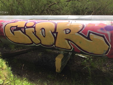 Graffiti Bombing - Photo by Future - Cior (2015)