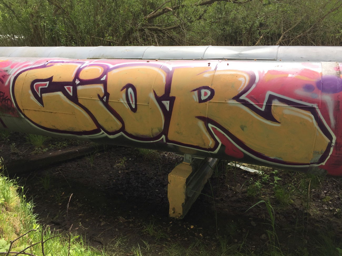 Graffiti Bombing - Photo by Future - Cior (2015)