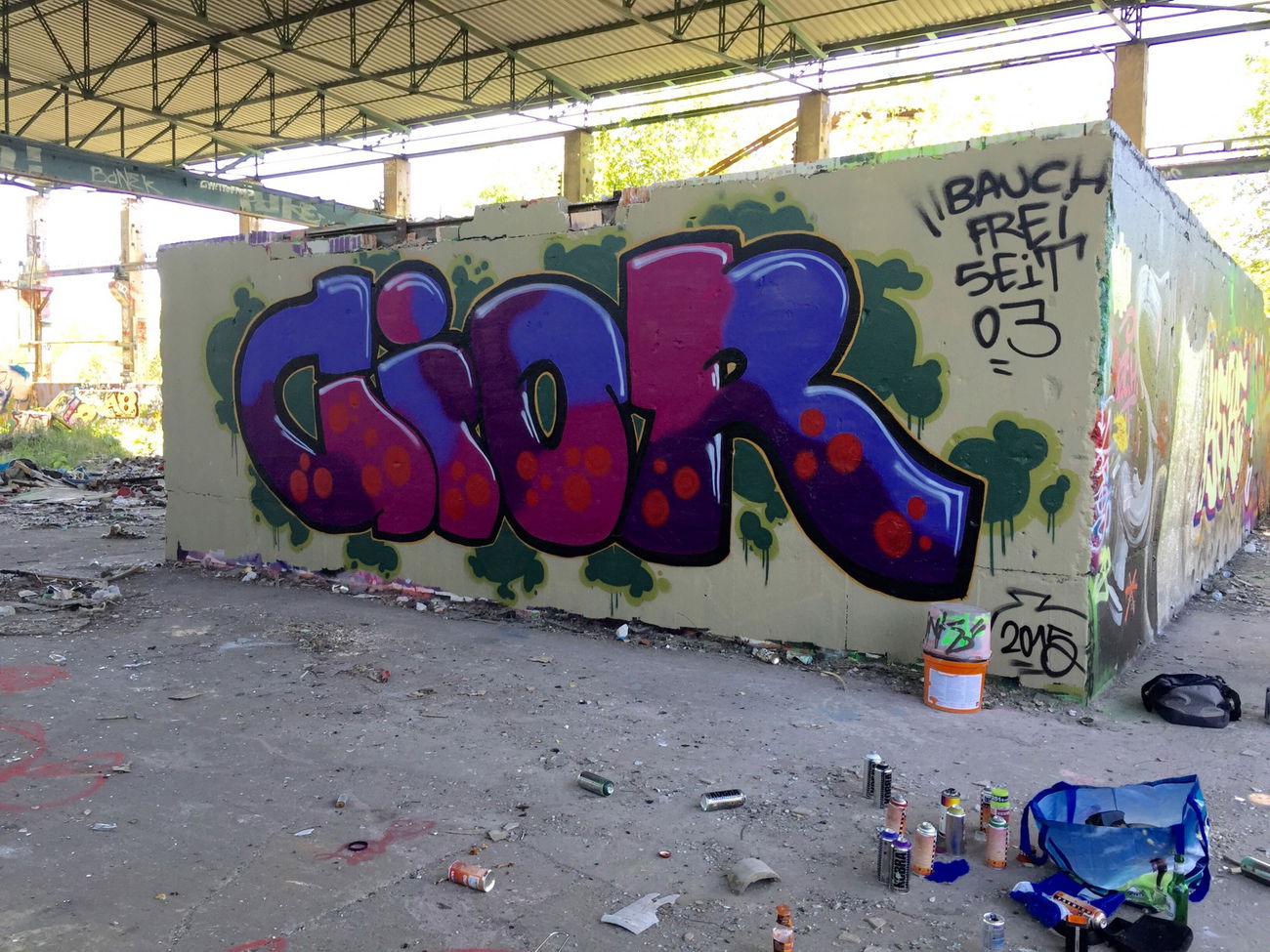 Graffiti Wall - Photo by Future - Cior (2015)