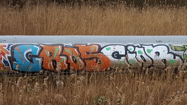 Graffiti Bombing - Photo by Future (2016)