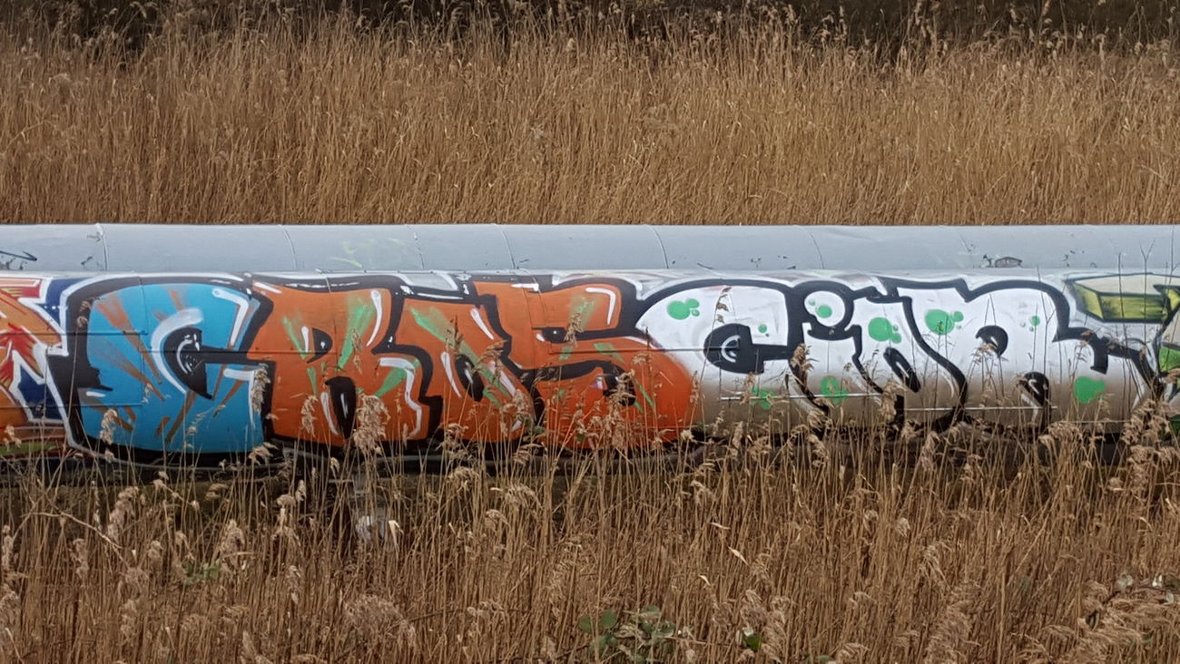 Graffiti Bombing - Photo by Future (2016)