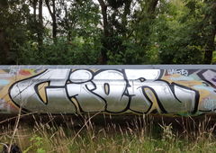 Photo #192531 by TheWallHunter