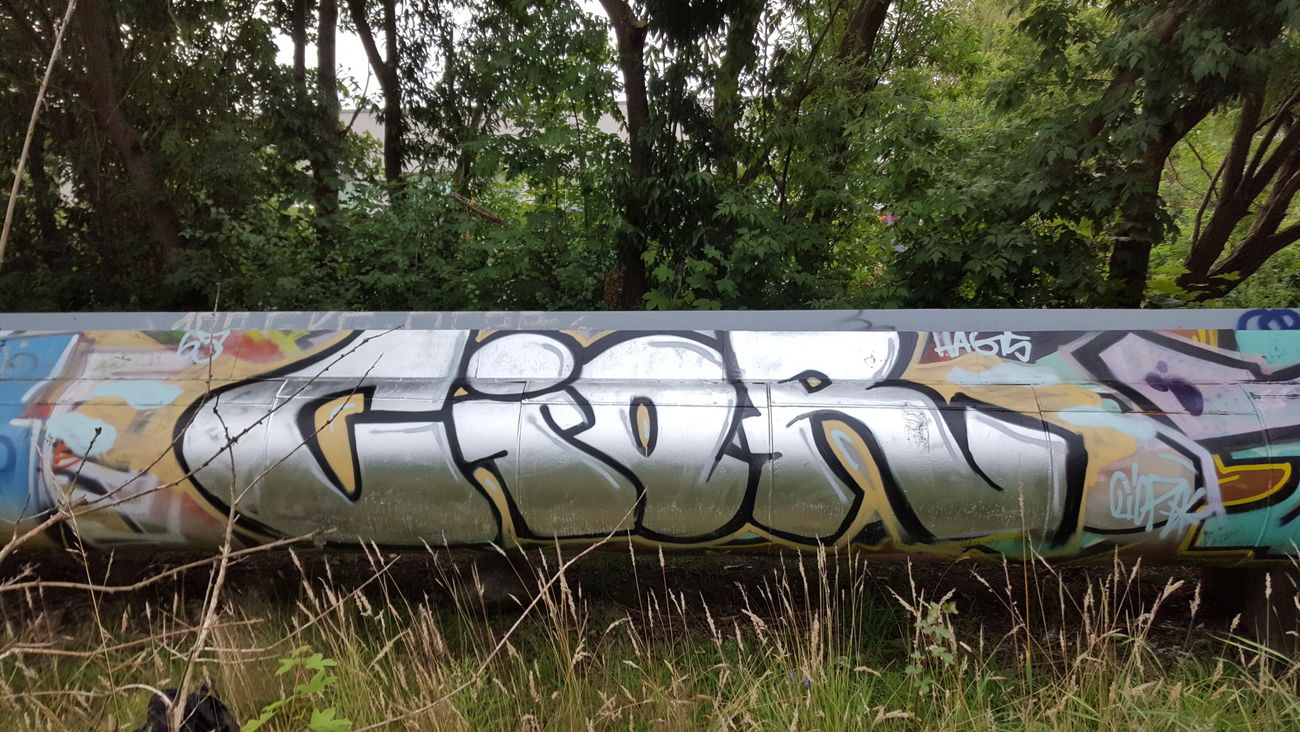 Graffiti Bombing - Photo by Future - cior (2016)