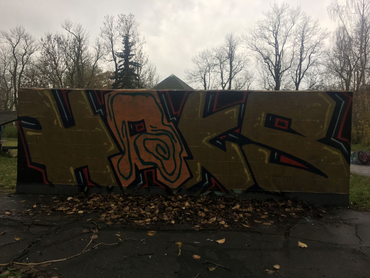 Graffiti Wall - Photo by Future (2017)