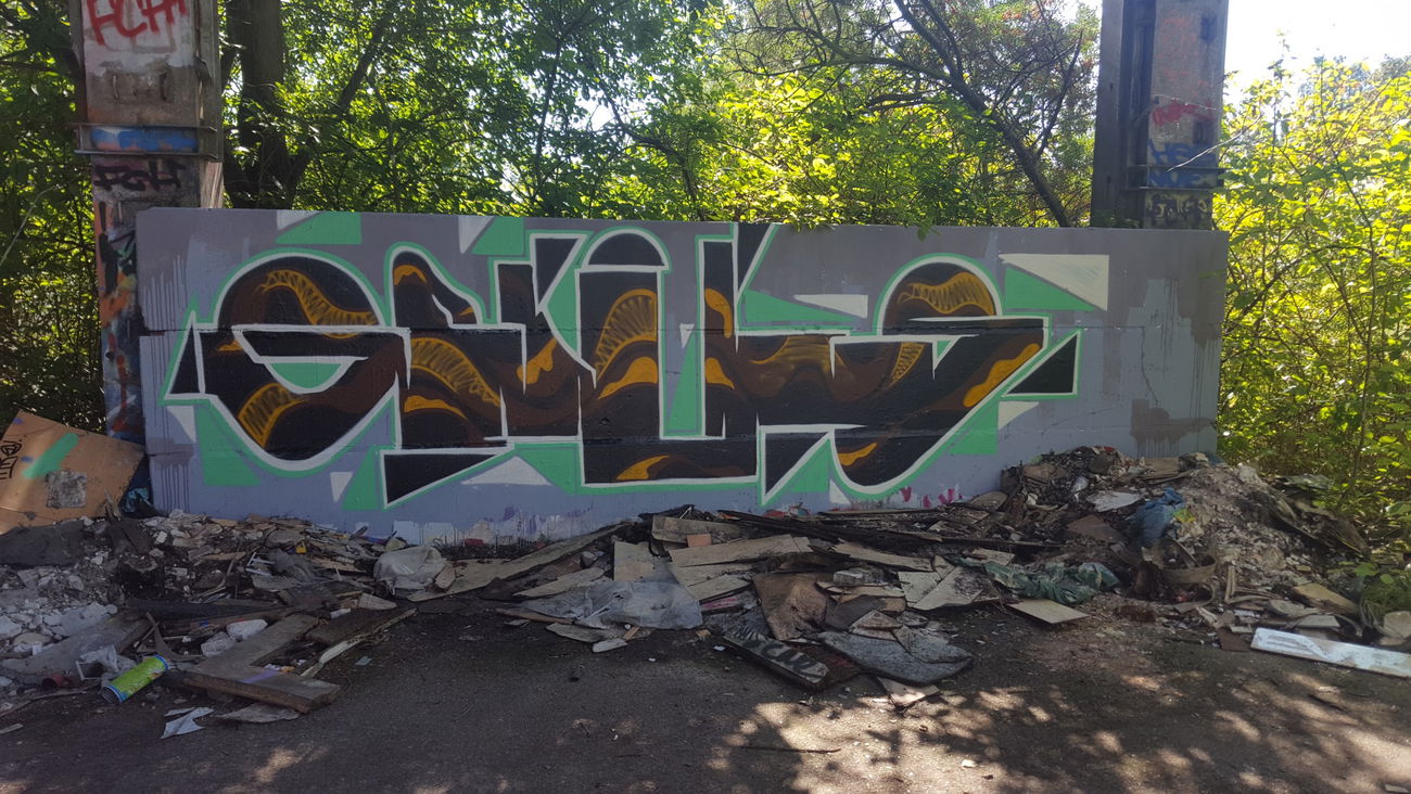 Graffiti Wall - Photo by Future (2016)