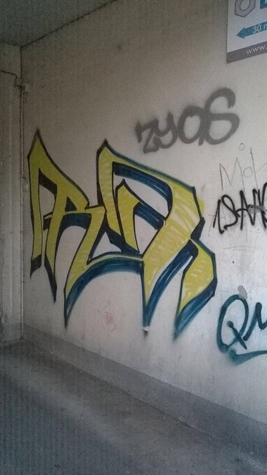Graffiti Wall - Photo by G0Tt - rose, r7, lic
