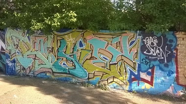 Graffiti Wall - Photo by G0Tt - rose, lic