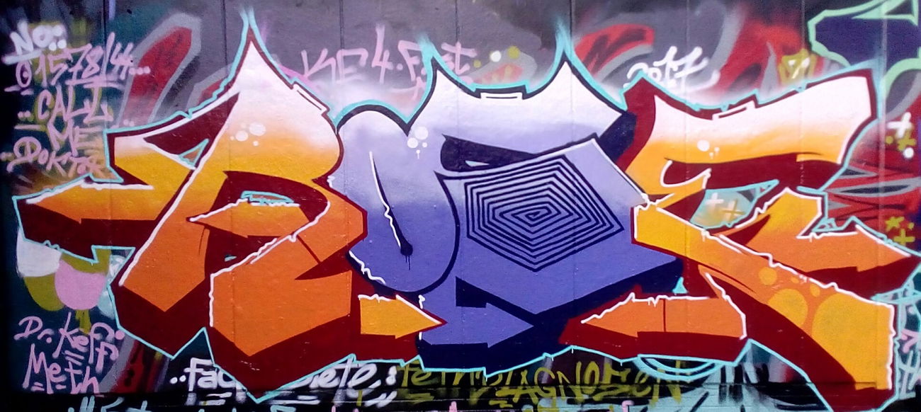 Graffiti Wall - Photo by G0Tt - rose, rip, rokoe