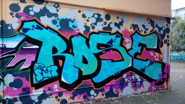 Graffiti Wall - Photo by G0Tt - rose, rip, rokoe