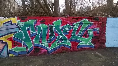 Graffiti Wall - Photo by G0Tt - rose, lic