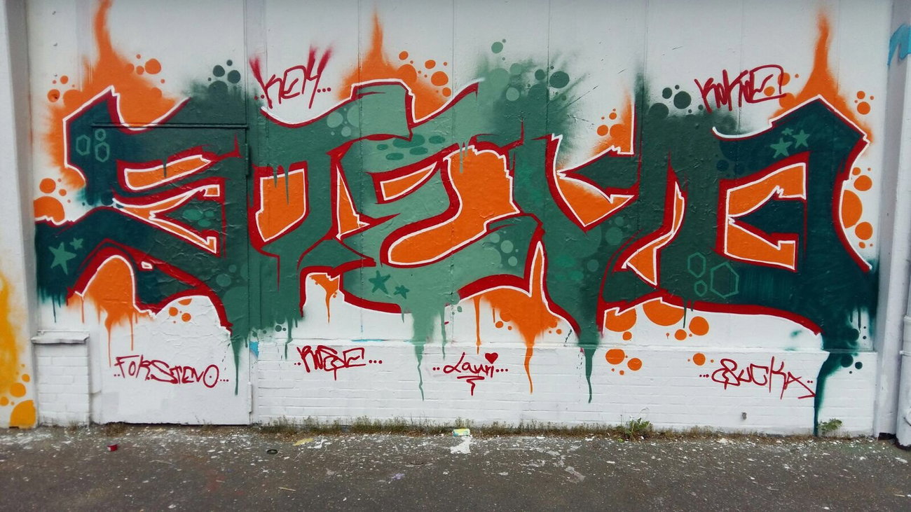 Graffiti Wall - Photo by G0Tt - rokoe, stevo, 4stevoe