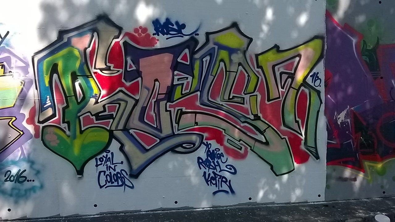 Graffiti Wall - Photo by G0Tt - rose, lic