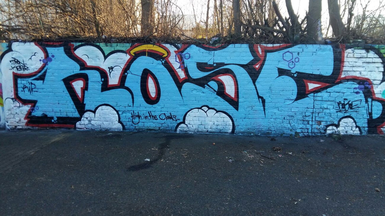 Graffiti Wall - Photo by G0Tt - rose, rokoe, rip.rose