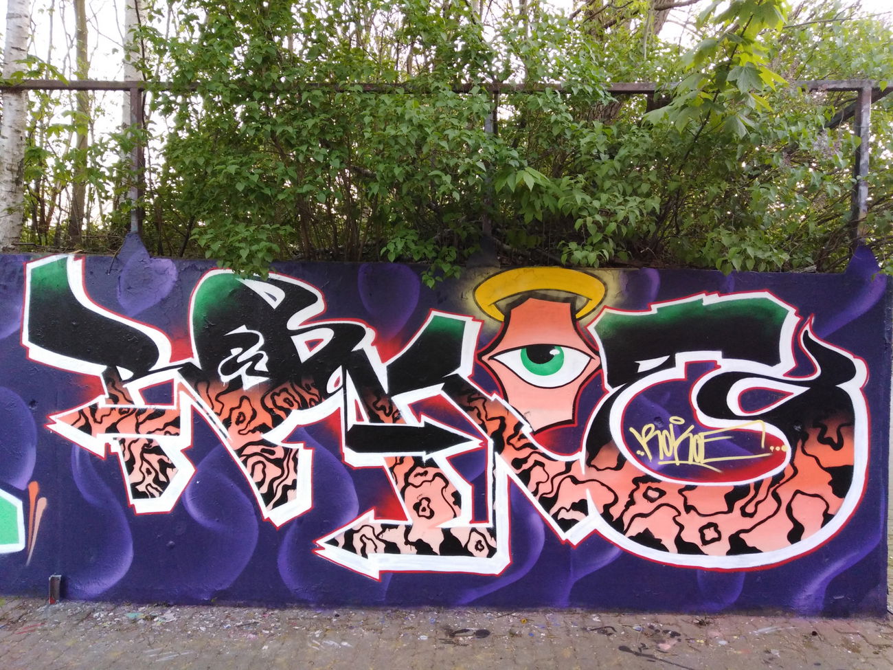 Graffiti Wall - Photo by G0Tt - rokoe, tigerstyle, tron