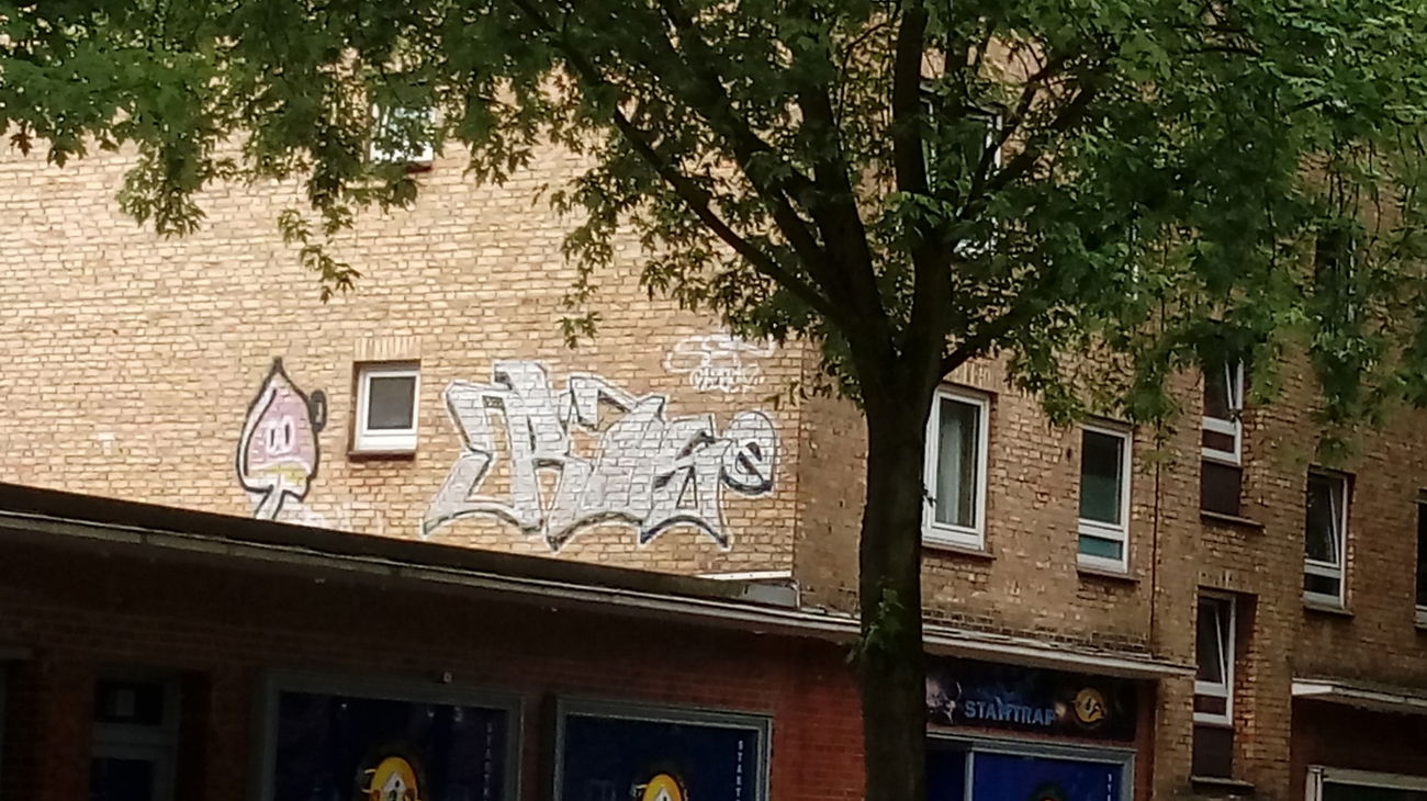 Graffiti Wall - Photo by G0Tt - rose, rip, lostbrother