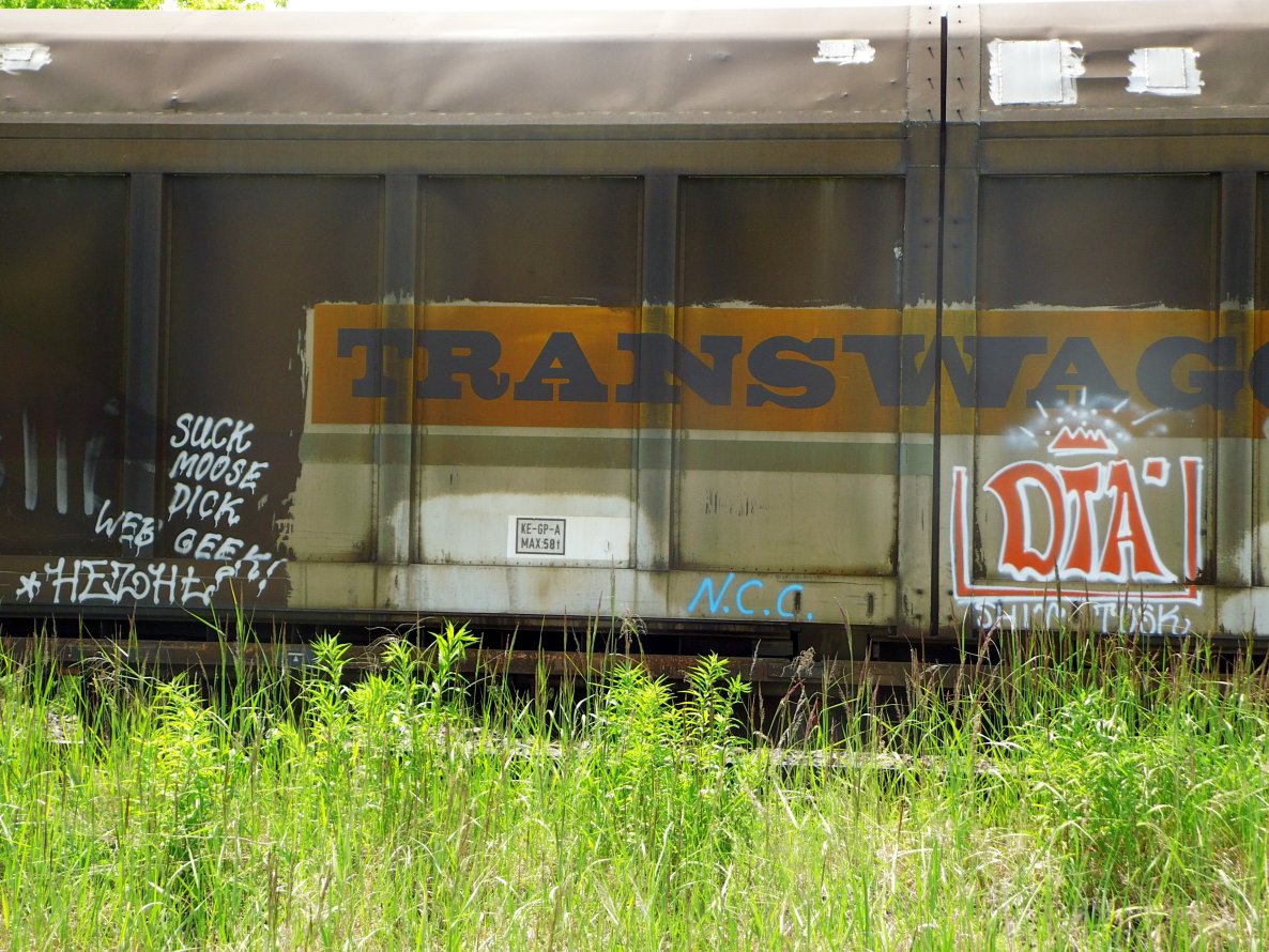 Graffiti Train - Photo by GBBI - dta, hezht