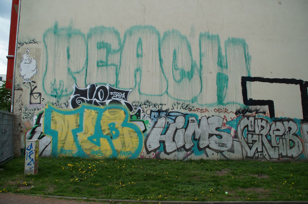 Graffiti Bombing - Photo by GBBI