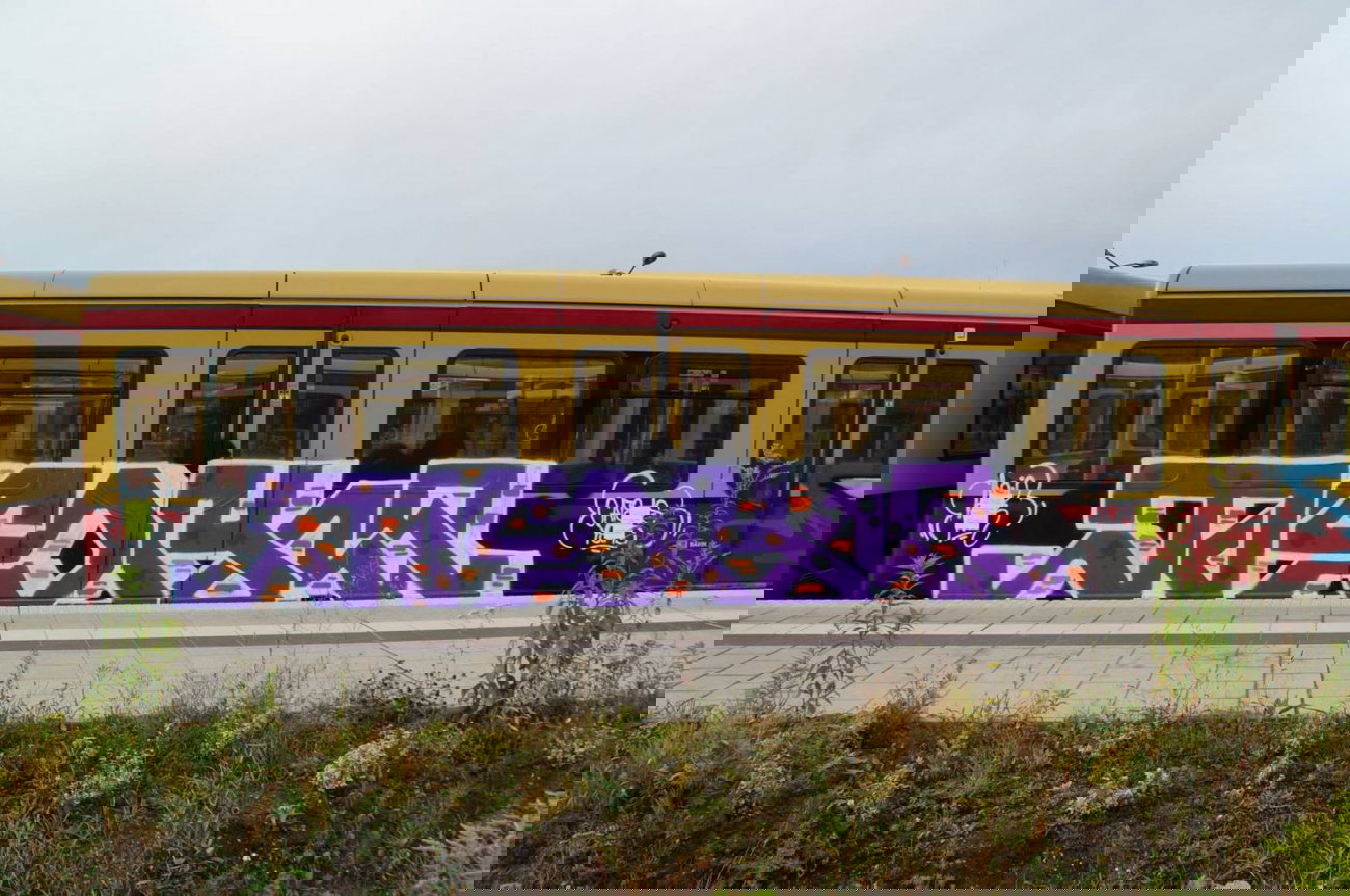 Graffiti Train - Photo by GBBI - berlin, sbahn