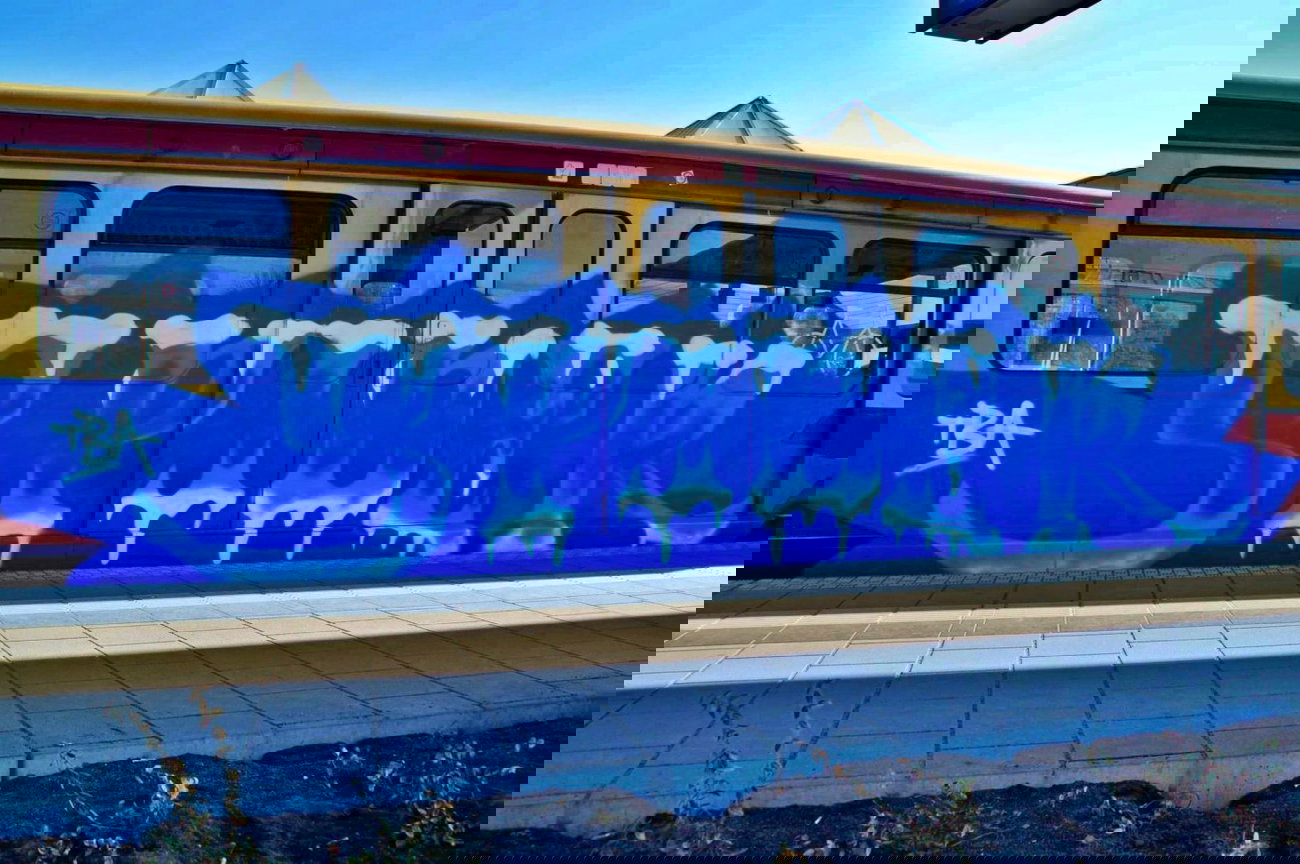 Graffiti Train - Photo by GBBI - spider, tba, sbahn
