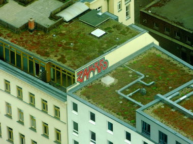 Graffiti Bombing - Photo by GBBI - zauer, berlin