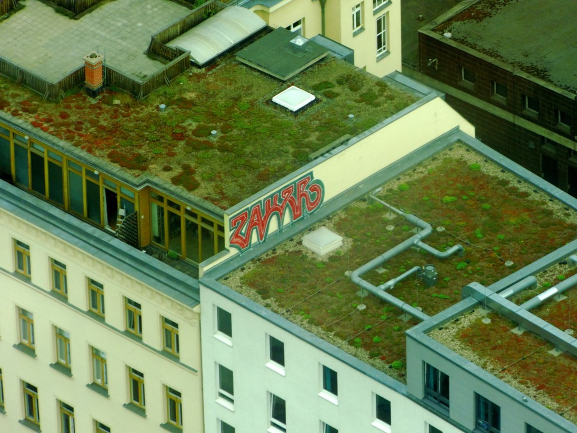 Graffiti Bombing - Photo by GBBI - zauer, berlin