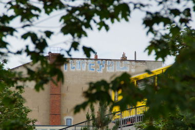 Graffiti Bombing - Photo by GBBI - i, love, you