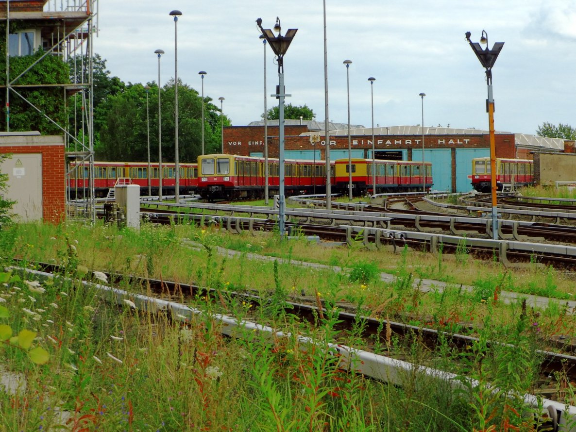 Graffiti Artwork - Photo by GBBI - sbahn, yard, berlin