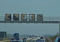 Photo #162447 by DisgoPolo