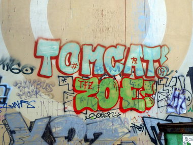 Graffiti Bombing - Photo by GBBI - tomcat, zoe, tfz