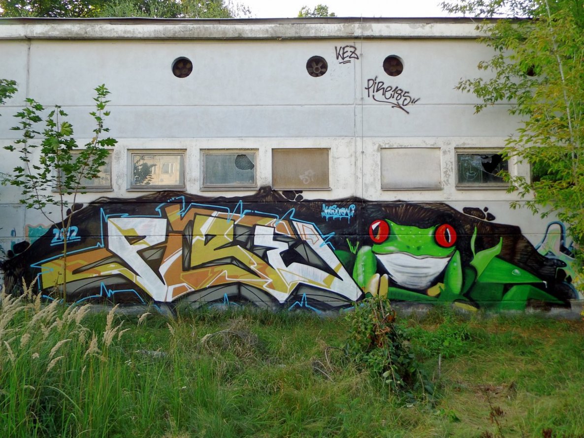 Graffiti Wall - Photo by GBBI - pire, kes