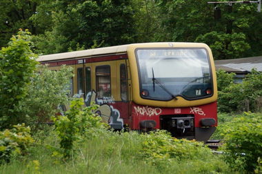 Graffiti Train - Photo by GBBI - moas, moa, bad