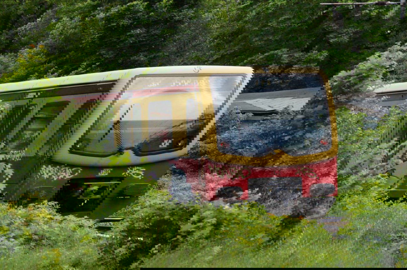 Graffiti Train - Photo by GBBI - moas, moa, bad