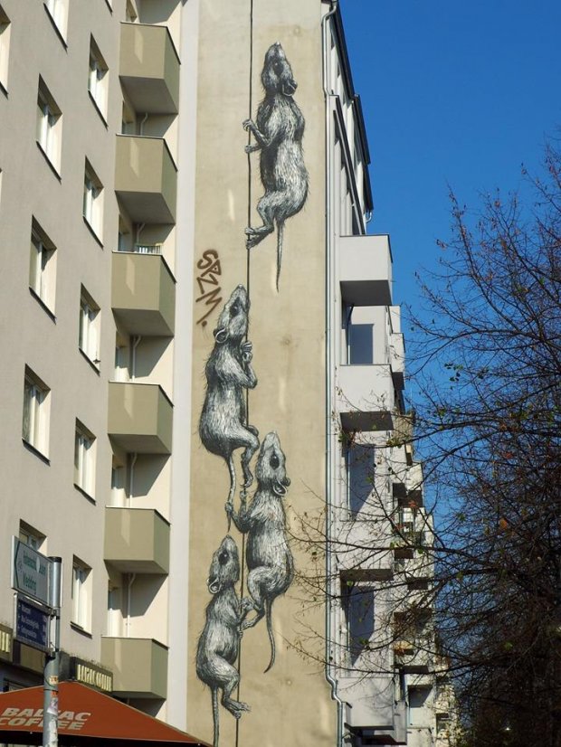 Graffiti Wall - Photo by GBBI - roa, berlin