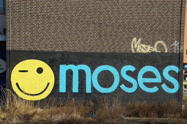 Graffiti Bombing - Photo by GBBI - moses, hannover