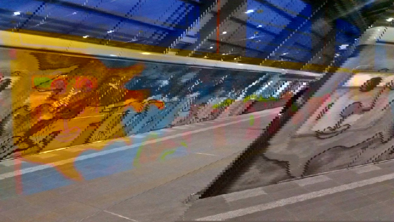 Graffiti Train - Photo by GBBI - toyls, toylets, tls